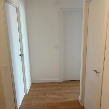 La Glicinia Vut-7355-as *