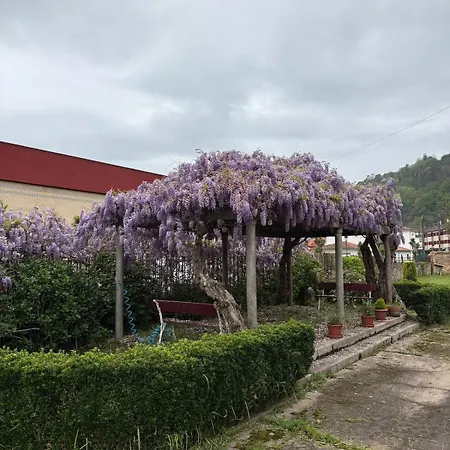 La Glicinia * Cangas de Onis